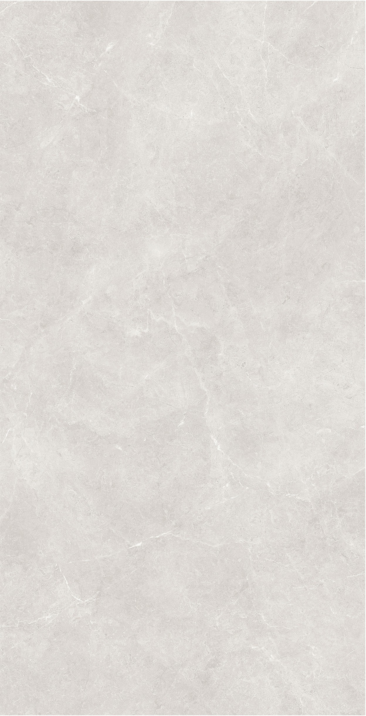 阿斯普丁灰 VY175111產品圖